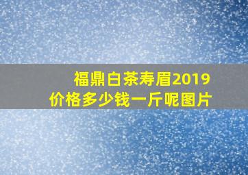 福鼎白茶寿眉2019价格多少钱一斤呢图片