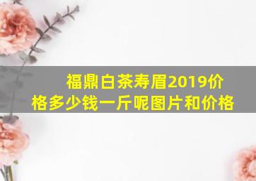 福鼎白茶寿眉2019价格多少钱一斤呢图片和价格