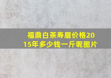 福鼎白茶寿眉价格2015年多少钱一斤呢图片