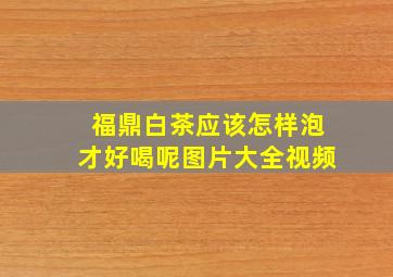 福鼎白茶应该怎样泡才好喝呢图片大全视频