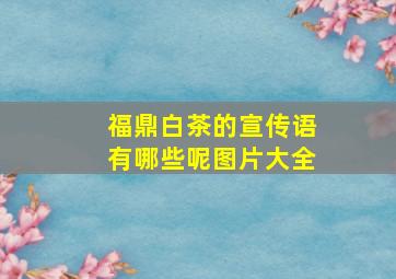 福鼎白茶的宣传语有哪些呢图片大全