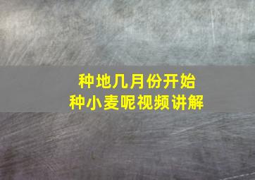 种地几月份开始种小麦呢视频讲解