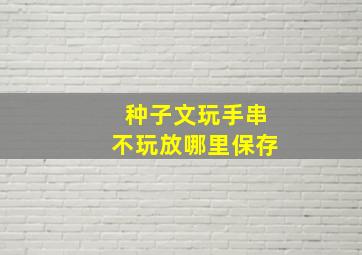 种子文玩手串不玩放哪里保存