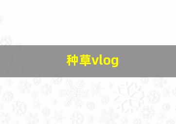 种草vlog