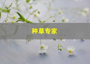 种草专家