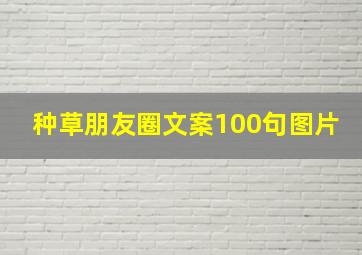 种草朋友圈文案100句图片