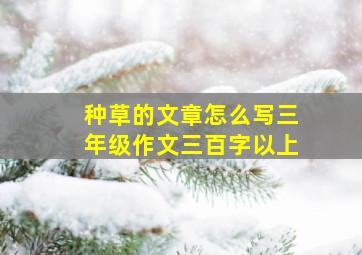 种草的文章怎么写三年级作文三百字以上