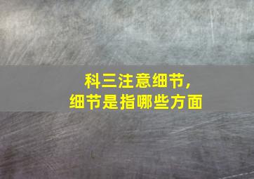 科三注意细节,细节是指哪些方面