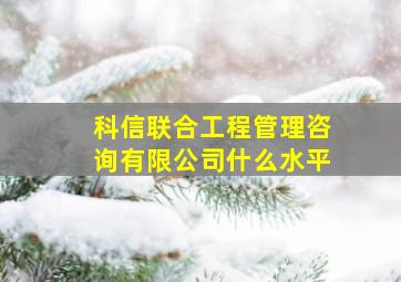 科信联合工程管理咨询有限公司什么水平