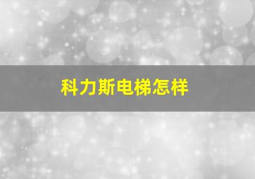 科力斯电梯怎样