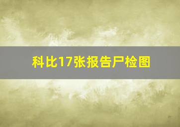 科比17张报告尸检图