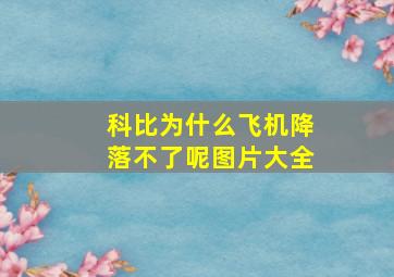 科比为什么飞机降落不了呢图片大全