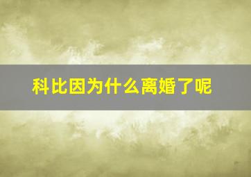 科比因为什么离婚了呢