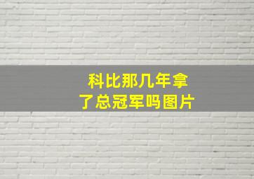 科比那几年拿了总冠军吗图片