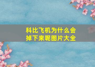 科比飞机为什么会掉下来呢图片大全