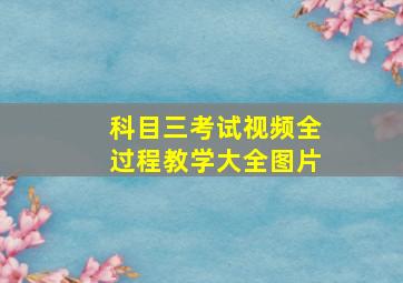 科目三考试视频全过程教学大全图片