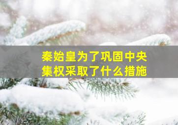 秦始皇为了巩固中央集权采取了什么措施