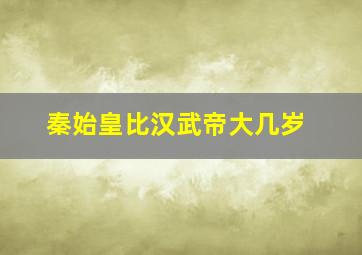 秦始皇比汉武帝大几岁