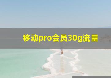 移动pro会员30g流量