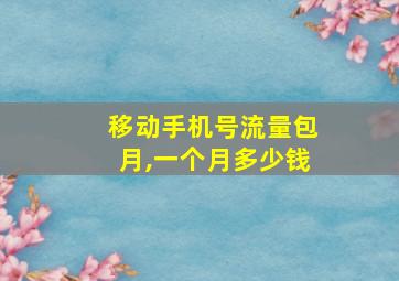 移动手机号流量包月,一个月多少钱