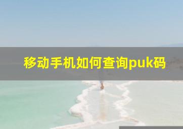 移动手机如何查询puk码