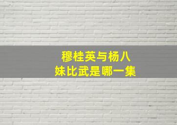 穆桂英与杨八妹比武是哪一集