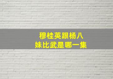 穆桂英跟杨八妹比武是哪一集