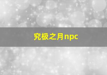 究极之月npc