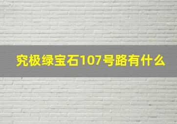 究极绿宝石107号路有什么