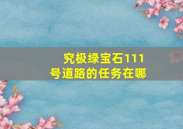 究极绿宝石111号道路的任务在哪