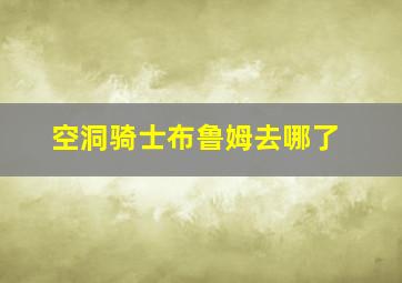 空洞骑士布鲁姆去哪了