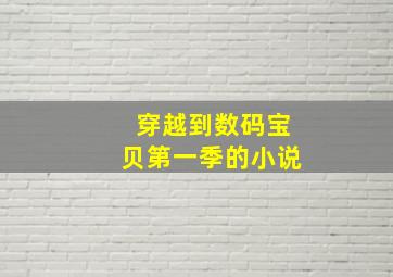 穿越到数码宝贝第一季的小说