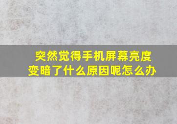 突然觉得手机屏幕亮度变暗了什么原因呢怎么办