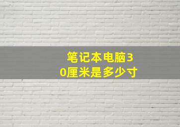 笔记本电脑30厘米是多少寸