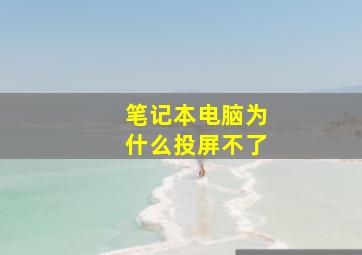 笔记本电脑为什么投屏不了