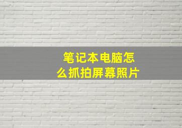 笔记本电脑怎么抓拍屏幕照片