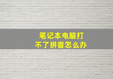 笔记本电脑打不了拼音怎么办