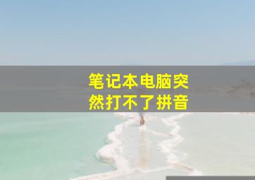 笔记本电脑突然打不了拼音