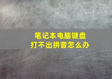 笔记本电脑键盘打不出拼音怎么办