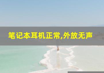 笔记本耳机正常,外放无声