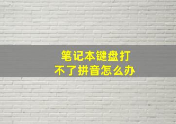 笔记本键盘打不了拼音怎么办