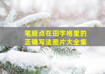 笔顺点在田字格里的正确写法图片大全集