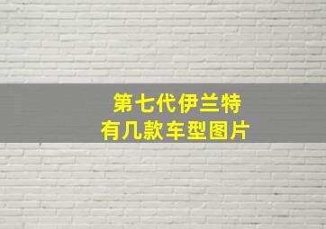 第七代伊兰特有几款车型图片