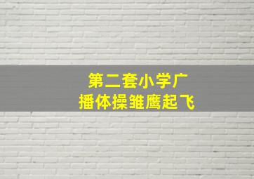 第二套小学广播体操雏鹰起飞