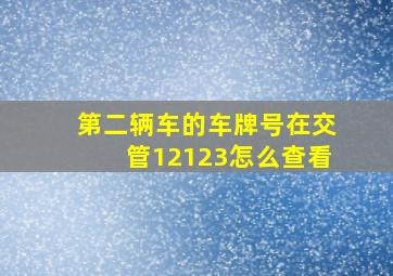 第二辆车的车牌号在交管12123怎么查看