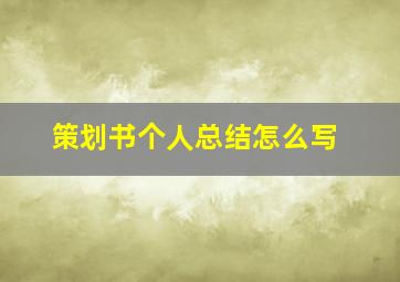 策划书个人总结怎么写