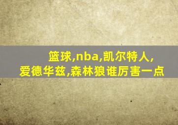 篮球,nba,凯尔特人,爱德华兹,森林狼谁厉害一点