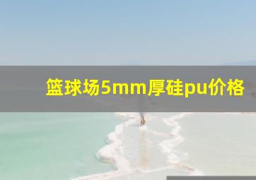 篮球场5mm厚硅pu价格