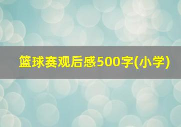 篮球赛观后感500字(小学)