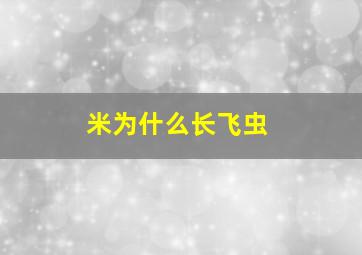 米为什么长飞虫